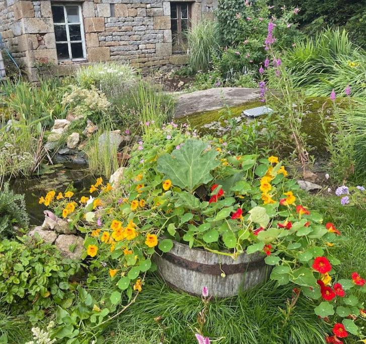 Le Petit Fleur - The Little Flower, Cosy Cottage Saint-Michel-de-Montjoie Buitenkant foto