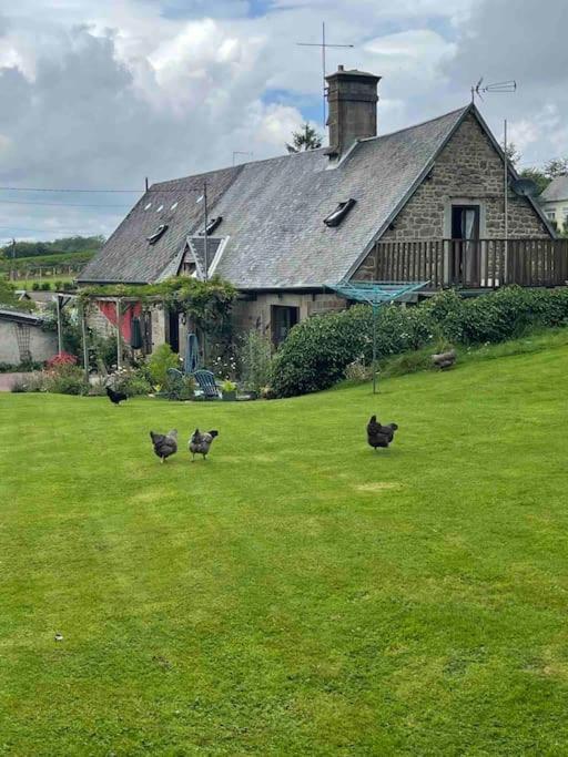 Le Petit Fleur - The Little Flower, Cosy Cottage Saint-Michel-de-Montjoie Buitenkant foto